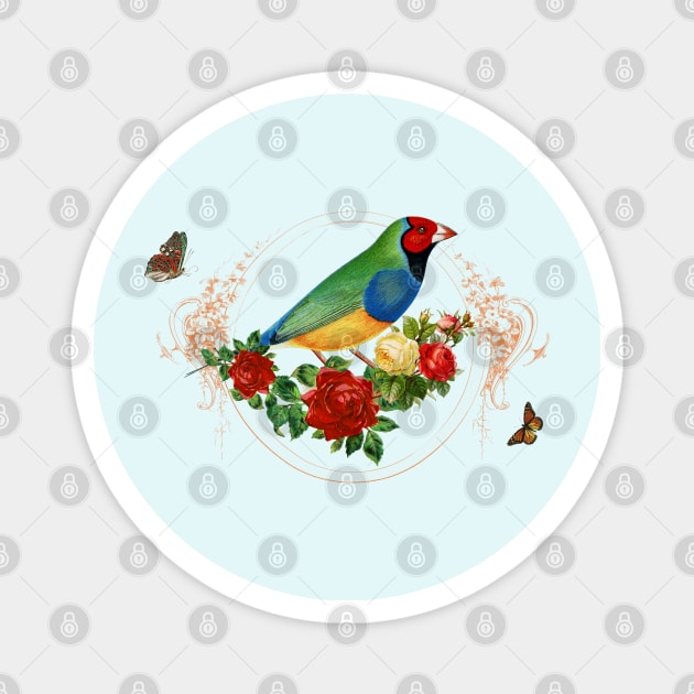 Red Head Finch standing in red Roses with Butterflies surrounded Magnet by LizzyizzyDesign